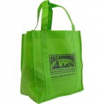 Green Bag-3