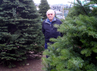 Real Christmas Trees in San Francisco, CA | Cole Hardware