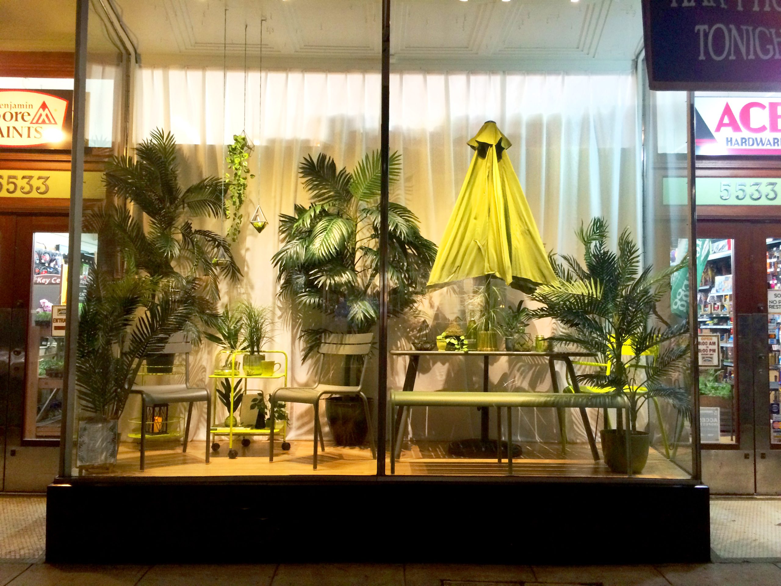 fermob luxembourg cactus window display